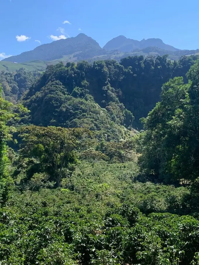View of volcano mountains from the Bambito Estate Coffee farm in Panama