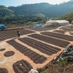 Wide view of drying patios in the Minas Gerais region