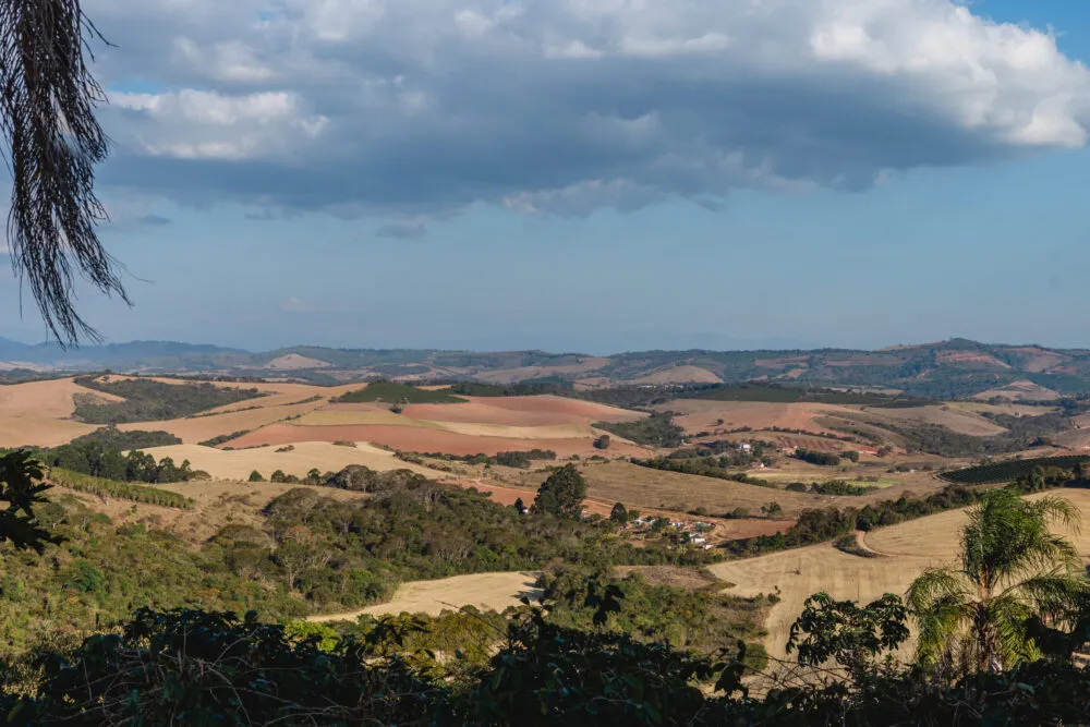 View of landscape at São Benedito Estate