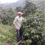 Coffee producer Francisco Corea at his farm Buena Vista in Honduras
