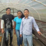 Coffee farm Buena Vista Honduras