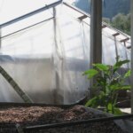Shade drying tents at El Milagrito in Honduras