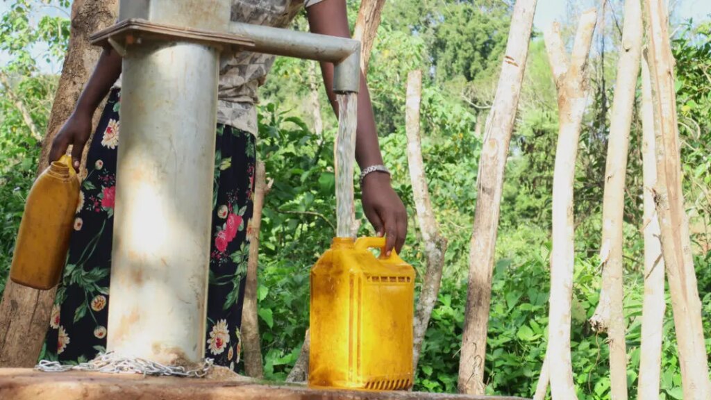 Project Origin contributed towards building a fresh water well for the communities in Guji for all to use. Part of our community projects