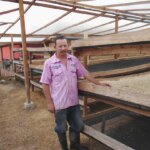 Drying beds built under shade at La Piragua in Colombia as part of our community projects