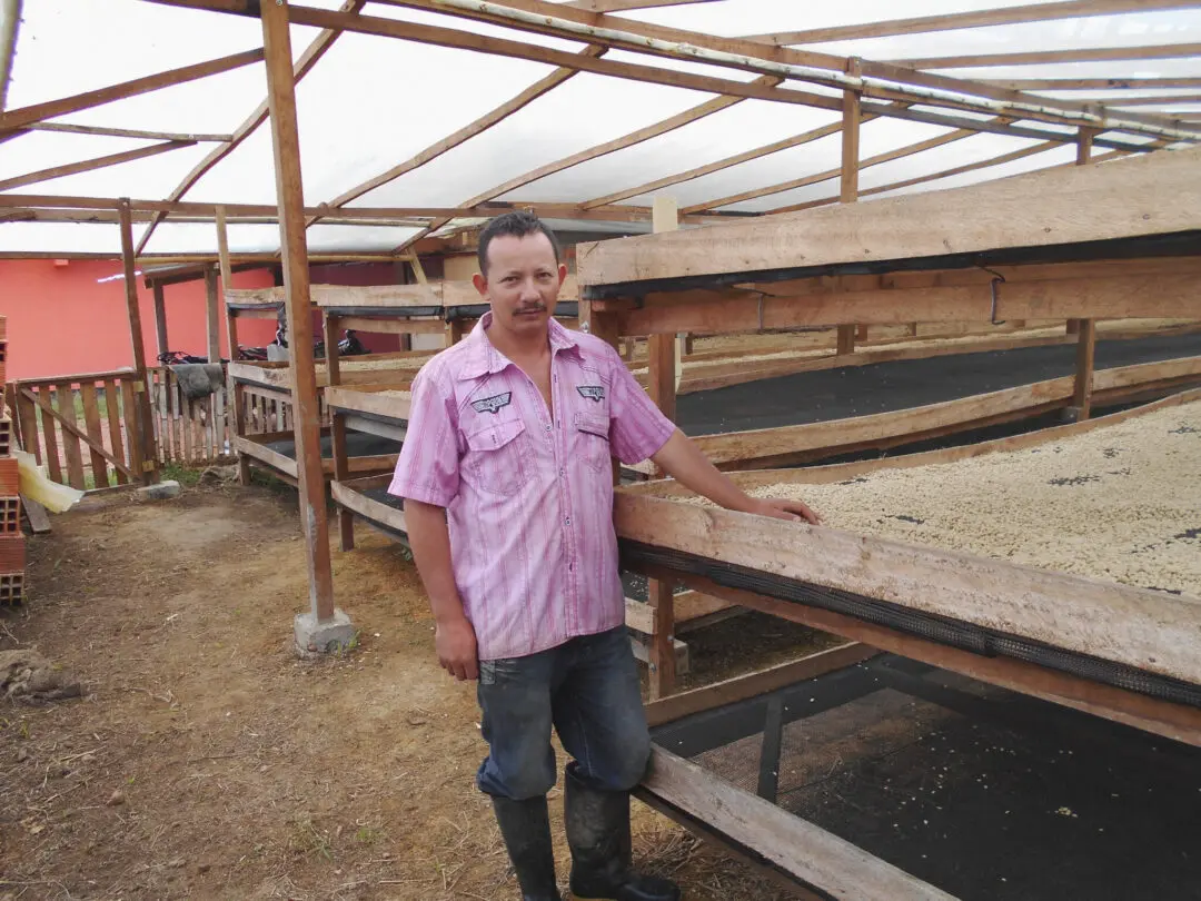 Drying beds built under shade at La Piragua in Colombia as part of our community projects