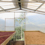 Drying beds under cover at Tio Juan in Honduras part of our community projects