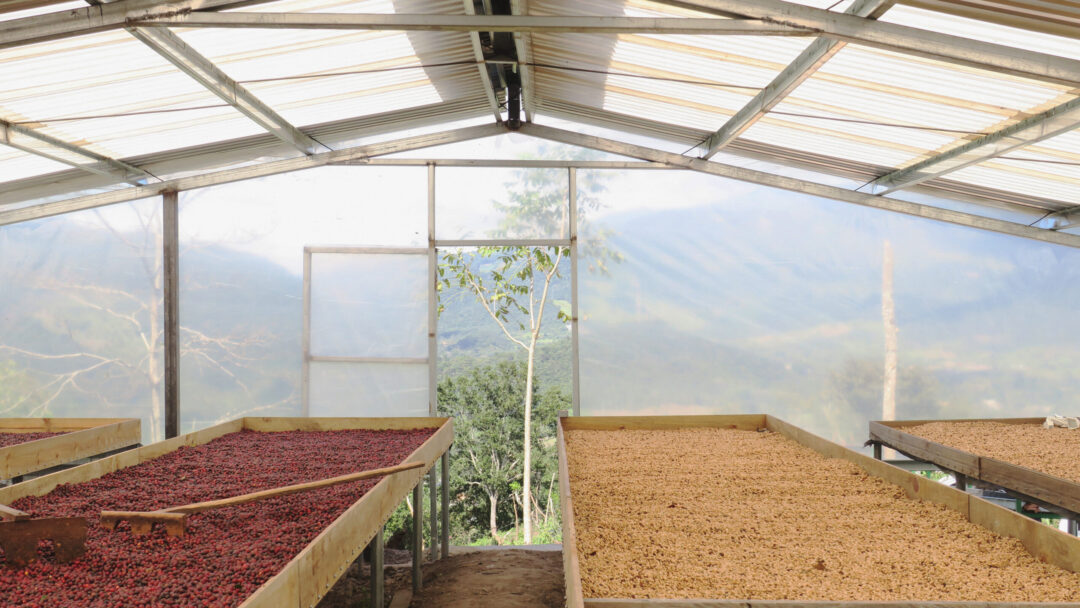 Drying beds under cover at Tio Juan in Honduras part of our community projects