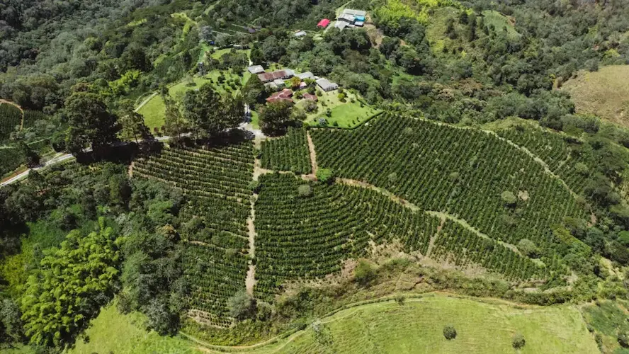 Aerial drone shot of La Fantasia Coffee Farm Colombia.
