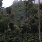 A mountainous view of La Huerta owned by Jorge Lanza on the Santa Barbara Mountain