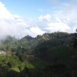 A mountainous view of coffee farm La Huerta owned by Jorge Lanza on the Santa Barbara Mountain
