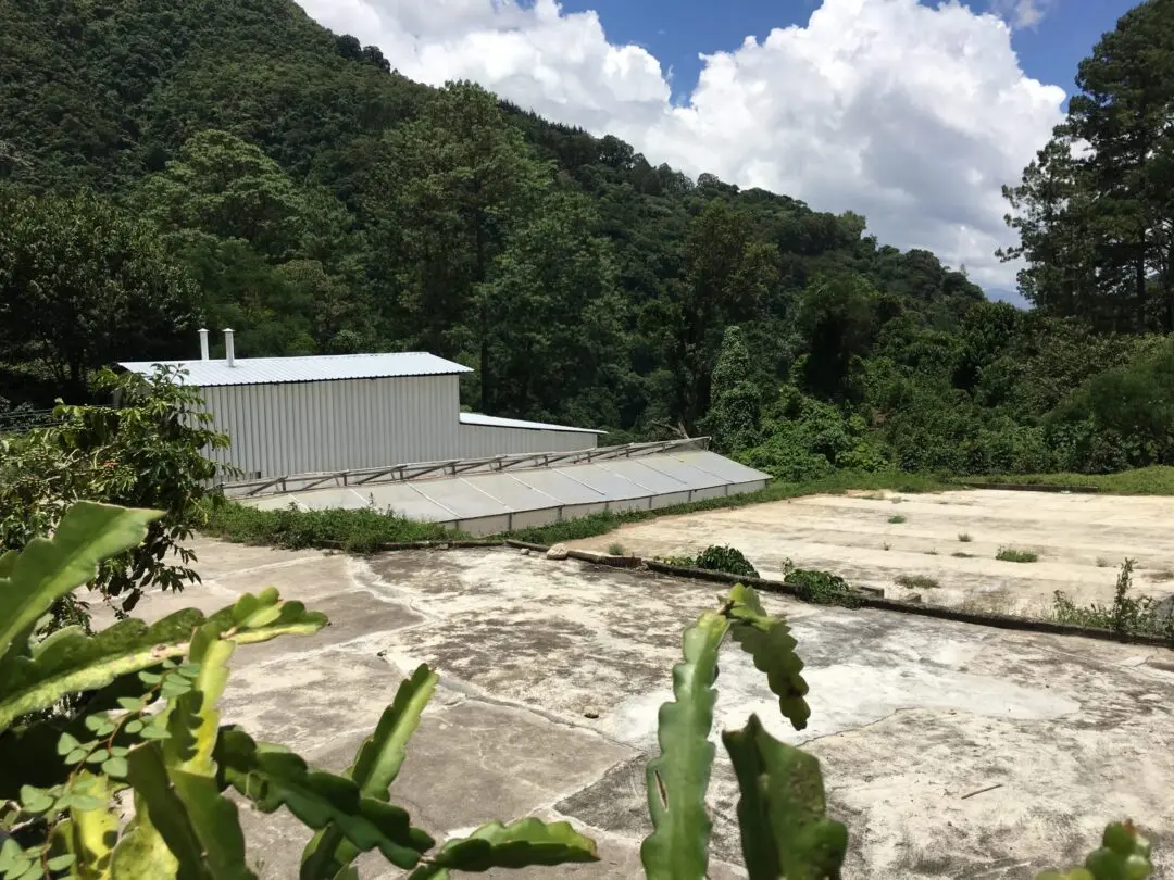 Drying patios at the El Socorro coffee dry mill in Guatemala