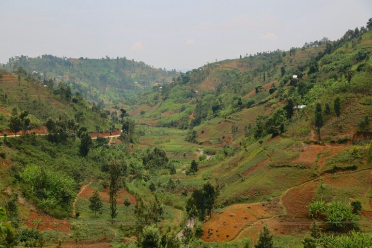 Gatare washing station mountain view with red earth in Rwanda coffee growing region