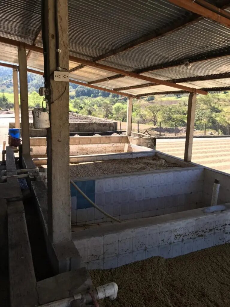 Fermentation tanks processing coffee for Ayarza Regional blend Guatemala
