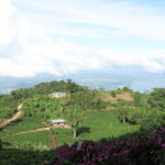 Panoramic view of coffee growing across landscape at Sasa Sestic's farm Finca Beti located in Honduras