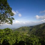 Honduras - Finca Cheli - View of landscape