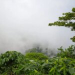 A cloudy view from a coffee farm in the Santa Barbara region of Honduras