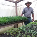 Coffee producer Fernando Contreras with his seedlings in a greenhouse for coffee and vegetables