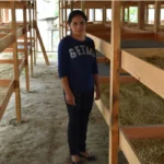 Coffee Producer Jeydi Domiguez in her drying room at Los Cedros Honduras