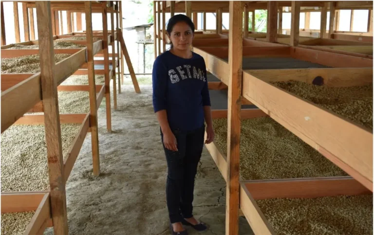 Coffee Producer Jeydi Domiguez in her drying room at Los Cedros Honduras