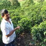 Pedro Erazo standing in front of his pacas coffee trees Honduras