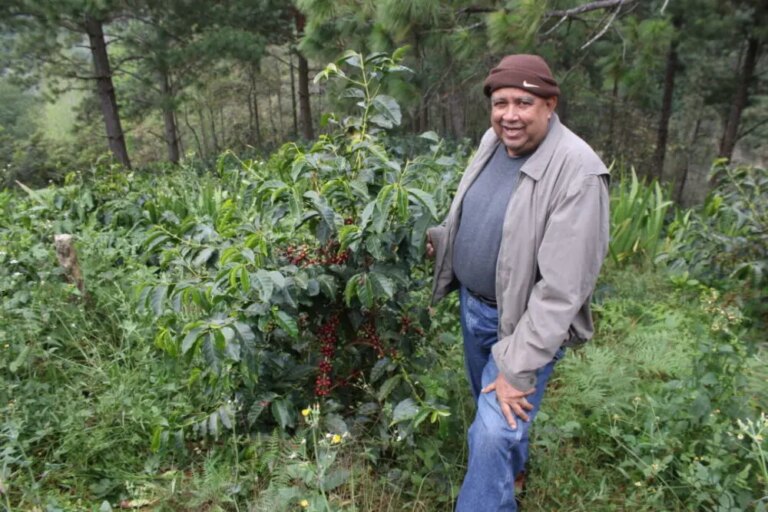 Don Fabio standing with a coffee tree at finca Caballero in Marcala region of Honduras