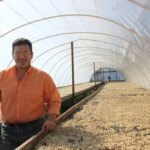 Producer Nelson Ramirez at Finca Androz in Honduras by washed coffee beans on drying beds in shaded tent