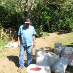 Producer Don Fabio standing next to sacks of harvested perfectly ripe coffee cherries at origin