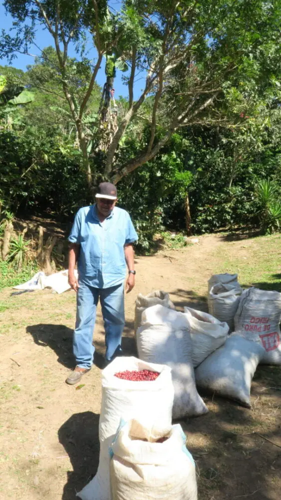 Producer Don Fabio standing next to sacks of harvested perfectly ripe coffee cherries at origin