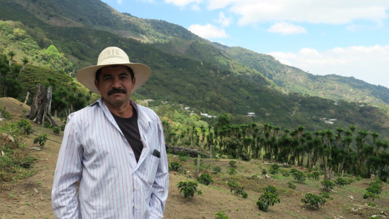Coffee producer Pedro Erazo standing in front of his newly planted coffee farm Honduras