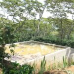 Washing channels for processing coffee at Finca Cheli Honduras
