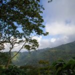 View from coffee farm El Milagrito Honduras