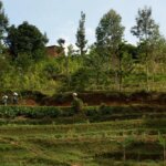 View of the Cyato Coffee Washing Station in Rwanda