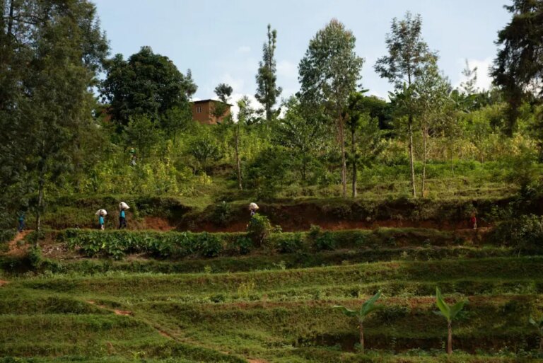 View of the Cyato Coffee Washing Station in Rwanda