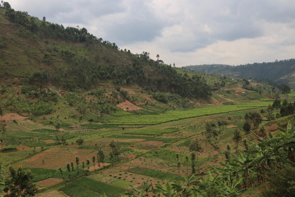 Landscape view of Rwandan country from Tumba Coffee Washing Station