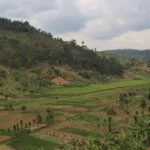 Landscape view of Rwandan country from Tumba Coffee Washing Station