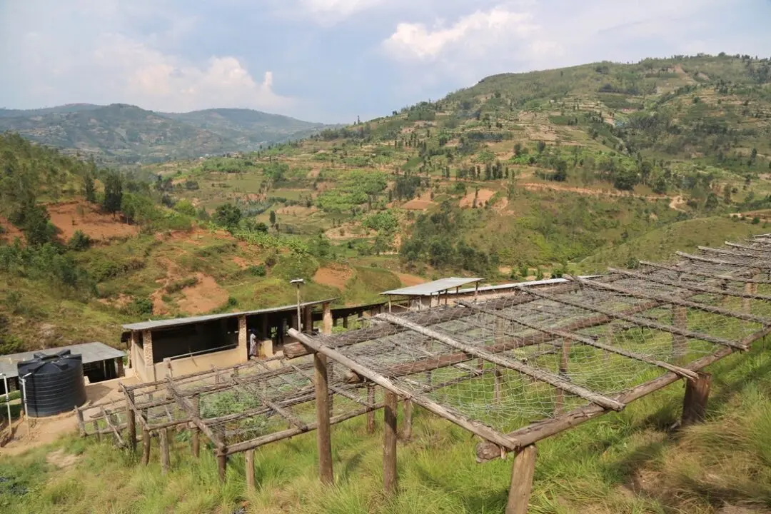 Beautiful landscape of Bwenda Mountain washing station for community coffee processing in Rwanda