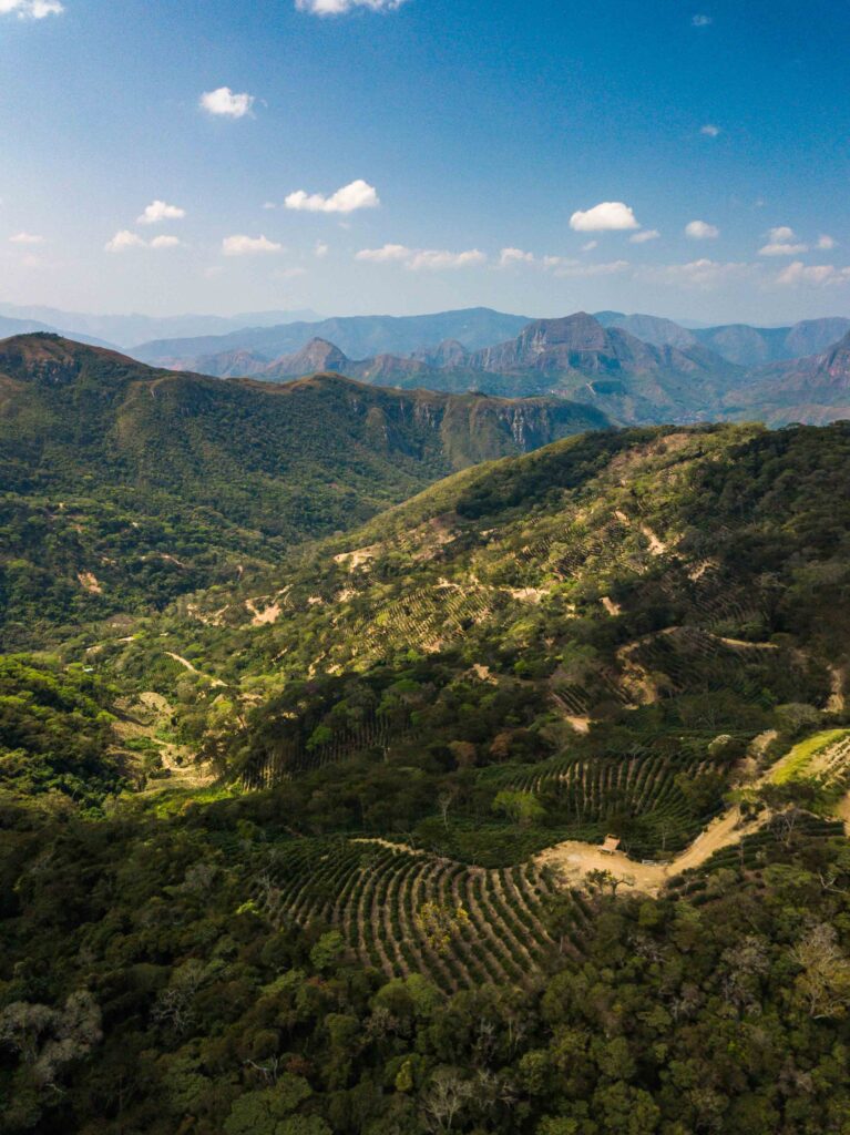 Picturesque mountain landscape of mountain range in Bolivia clear blue sky and green mountains near coffee farms
