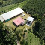 Drone shot of the Monte Blanco coffee farm in Colombia