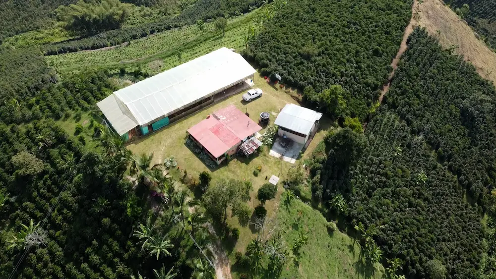 Drone shot of the Monte Blanco coffee farm in Colombia