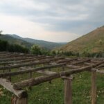 Raised drying beds in Rwandan landscape at Gitega Hills