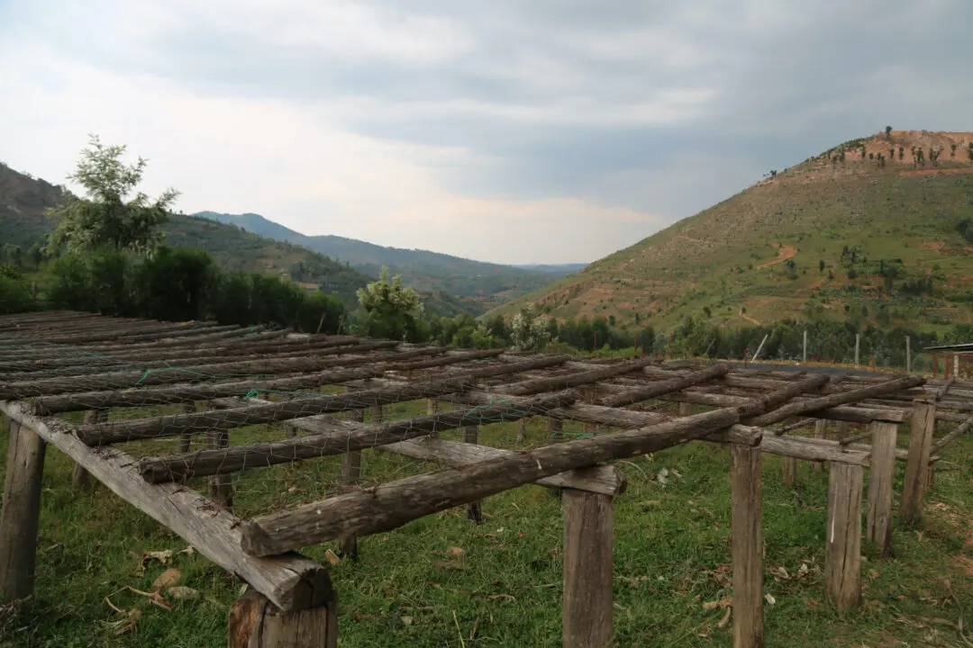 Raised drying beds in Rwandan landscape at Gitega Hills