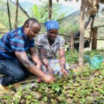 Rwanda coffee producer Bernard Uwitije with female worker cultivating baby coffee seedlings