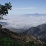 View of mountains above the clouds from coffee farm in arabica coffee belt