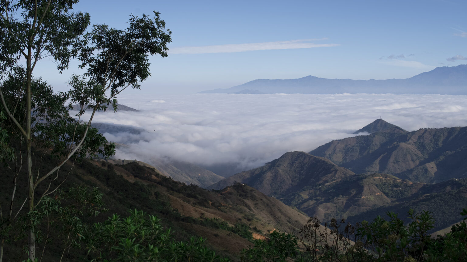 View of mountains above the clouds from coffee farm in arabica coffee belt