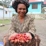 Worker for Kape Diem with harvested cherries in hand in Timor-Leste