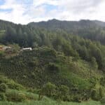 Finca la Perla in Honduras Central America where coffee grows on the slopes of the mountain