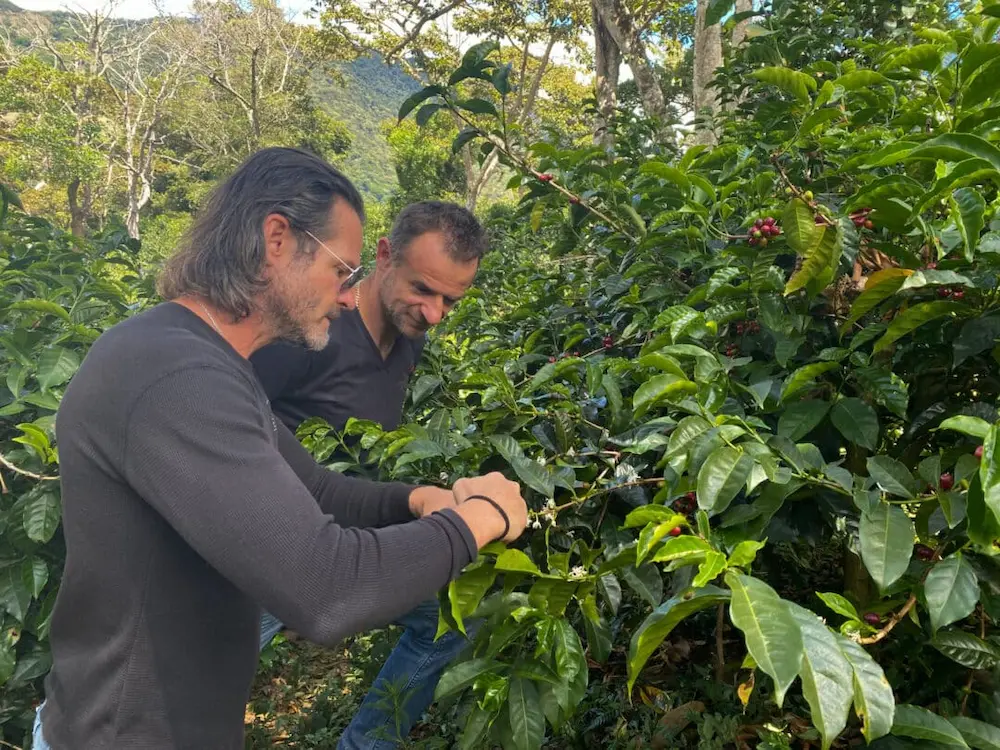 Coffee producers Jamison Savage and WBC Sasa Sestic the coffee man inspecting specialty cherries at Iris Estate high altitude farm in Panama