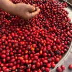 Ecuador - AlaskadelSur - CurtMadison