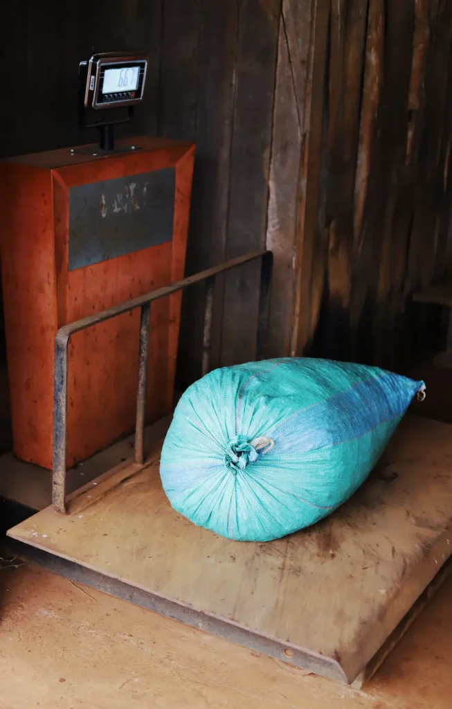 Coffee being weighed to determine is price