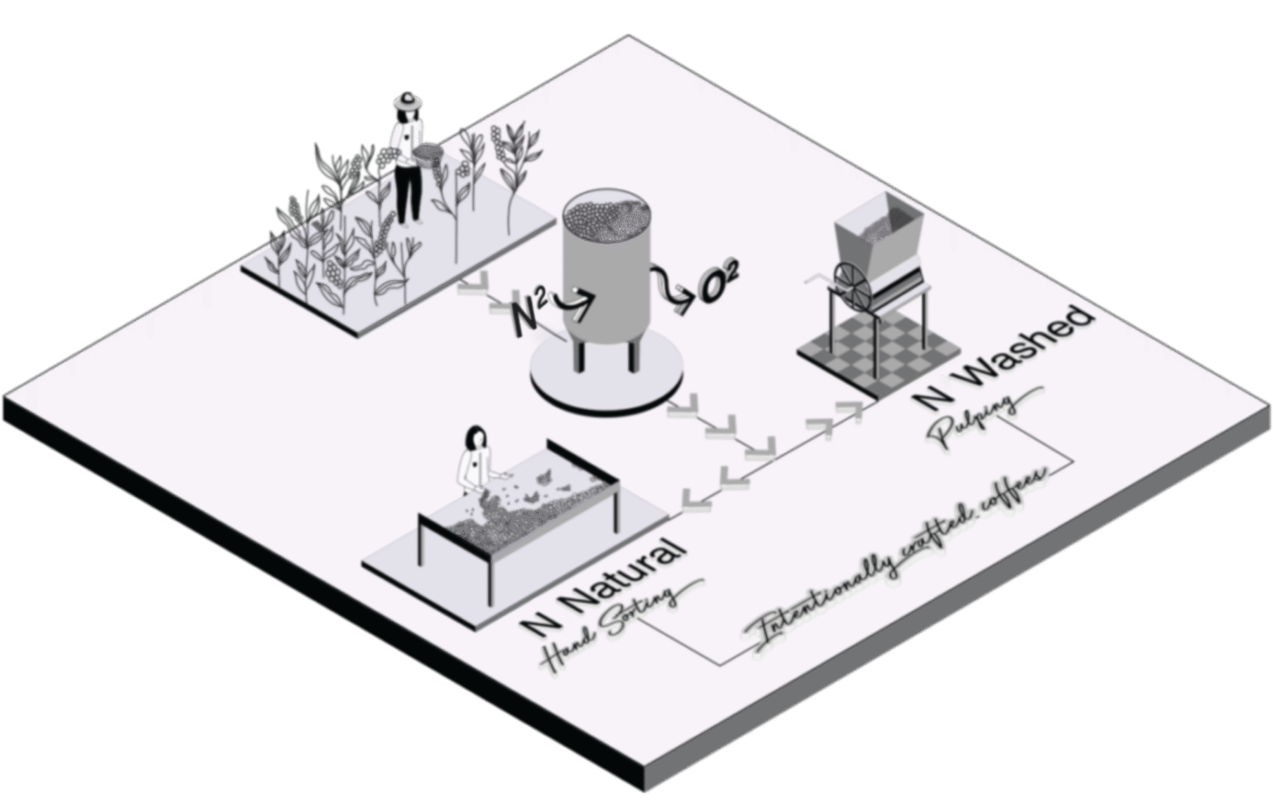 Nitro flush infographic processing illustration